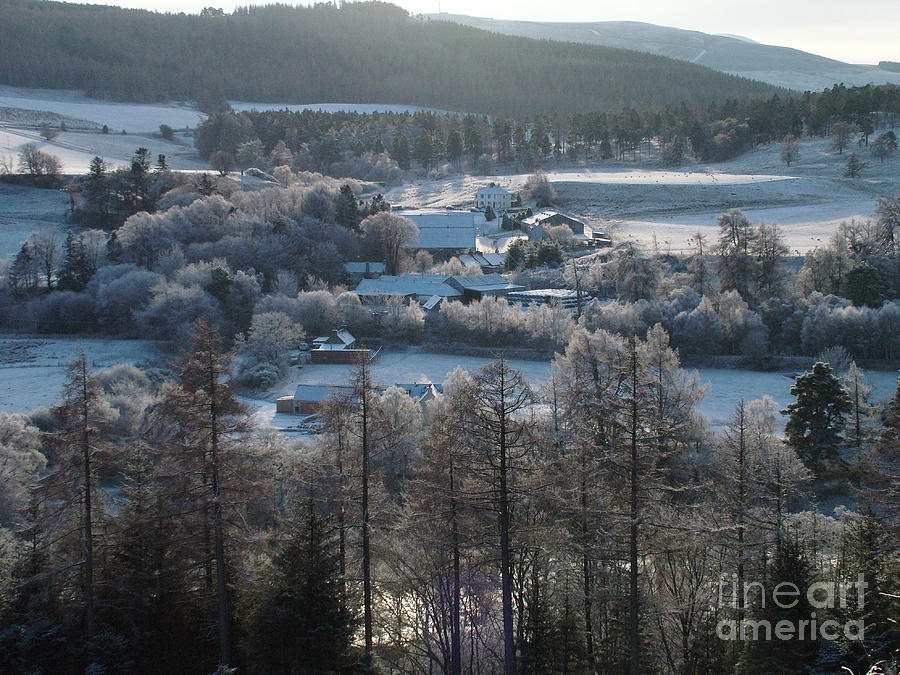 Frosty Day at Cragganmore - Speyside - Scotland Photograph by Phil Banks