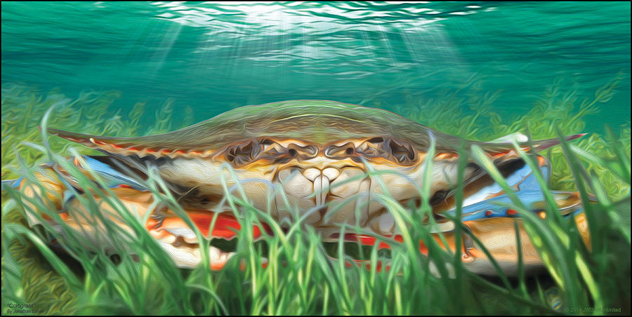 Crabs Mixed Media - Crabgrass by Jonathan Brown