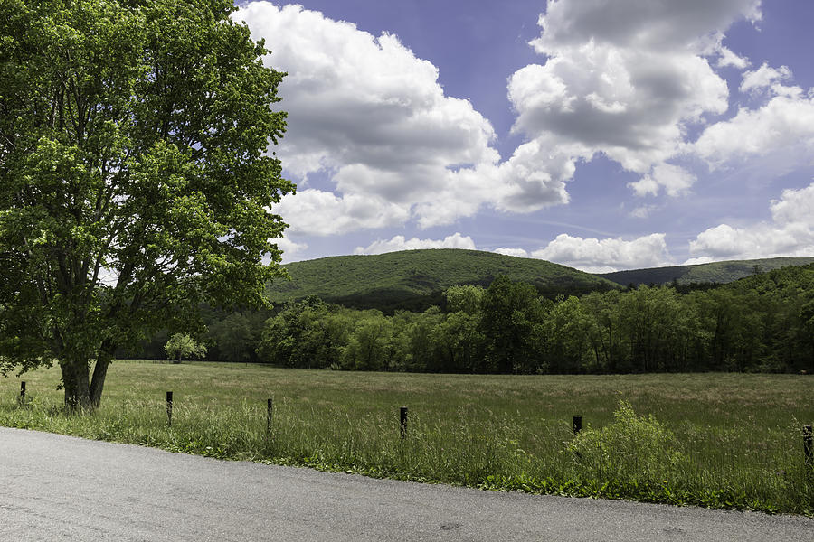 Craig County Virginia Country Road Photograph by Teresa Mucha