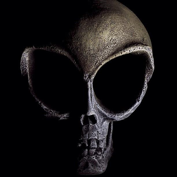 Space Photograph - #craigkempfphotography #alien #skull by Craig Kempf