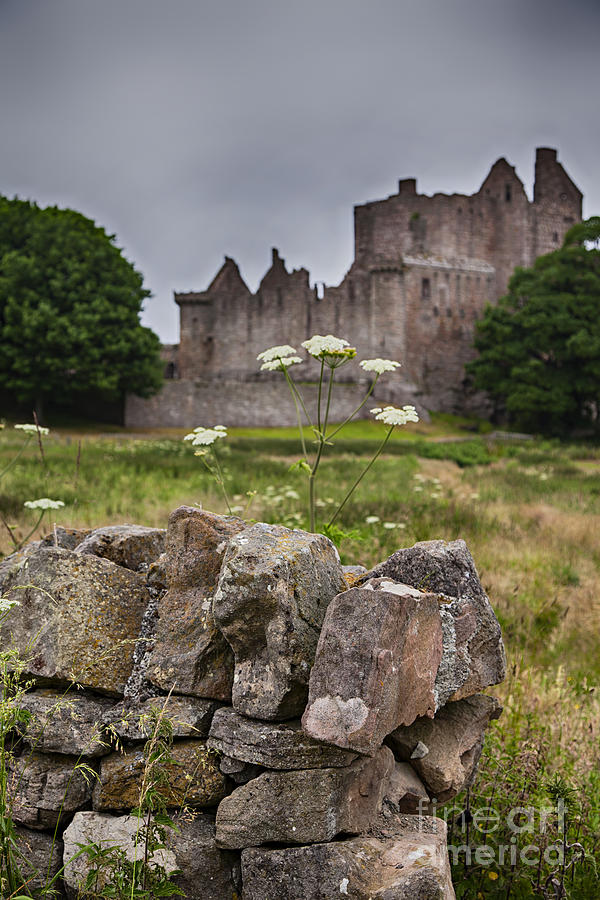 Craigmillar castle ruin Photograph by Sophie McAulay