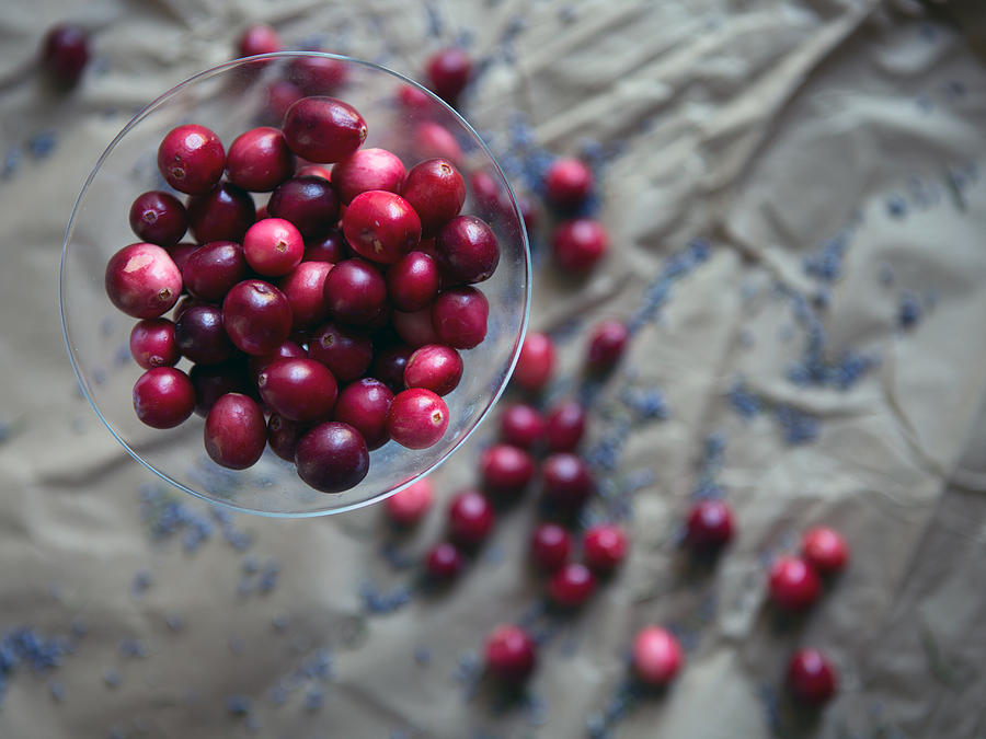 Cranberries and Lavender Buds Photograph by Rebecca Cozart
