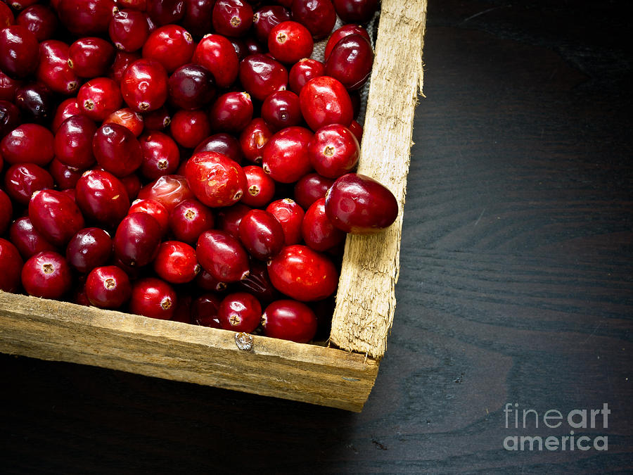 Cranberries Photograph by Edward Fielding