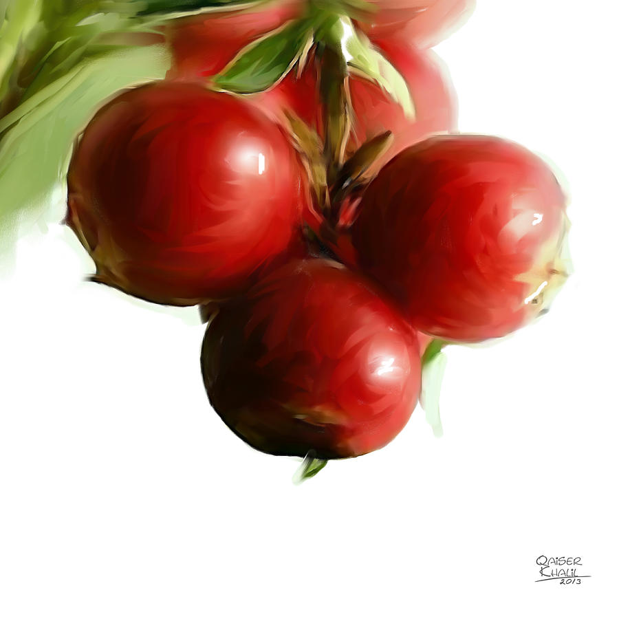 Fruit Painting - Cranberries by Qaiser Khalil