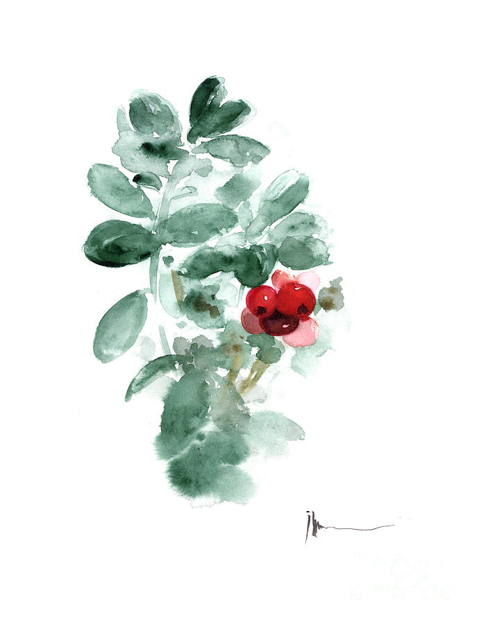 Fruit Painting - Cranberry art print watercolor painting by Joanna Szmerdt