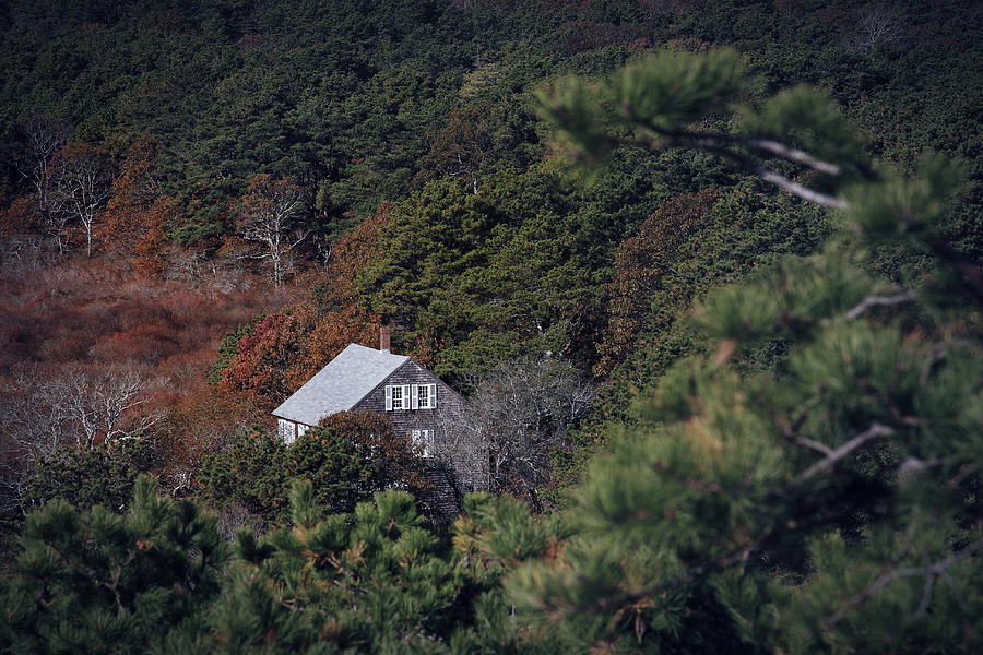 Bog House Photograph - Cranberry Bog House Truro MA by Darius Aniunas