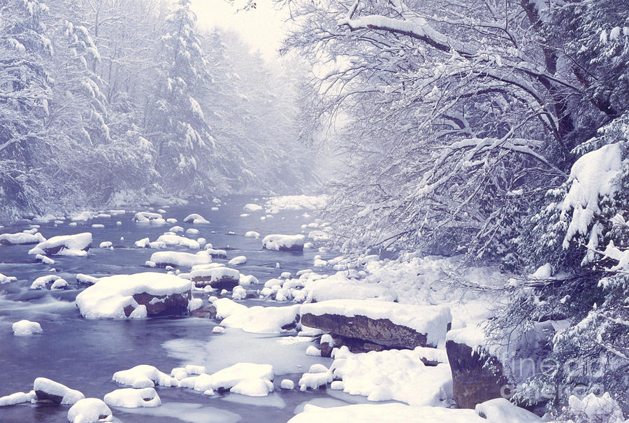 Winter Photograph - Cranberry River Heavy Snow by Thomas R Fletcher