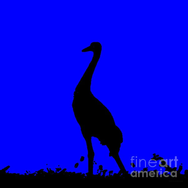 Crane In Blue Photograph by Anita Lewis