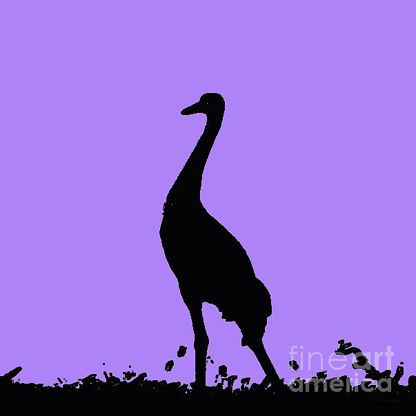 Crane In Purple Photograph by Anita Lewis