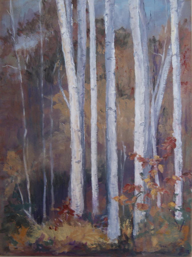 Crane Mountain Birches In The Sun Painting By Terri Messinger - Fine 