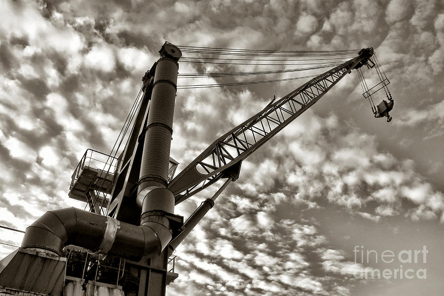 Crane Photograph by Olivier Le Queinec