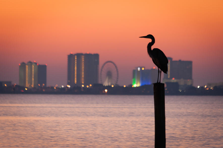 Crane on a Pier Photograph by Tim Stanley