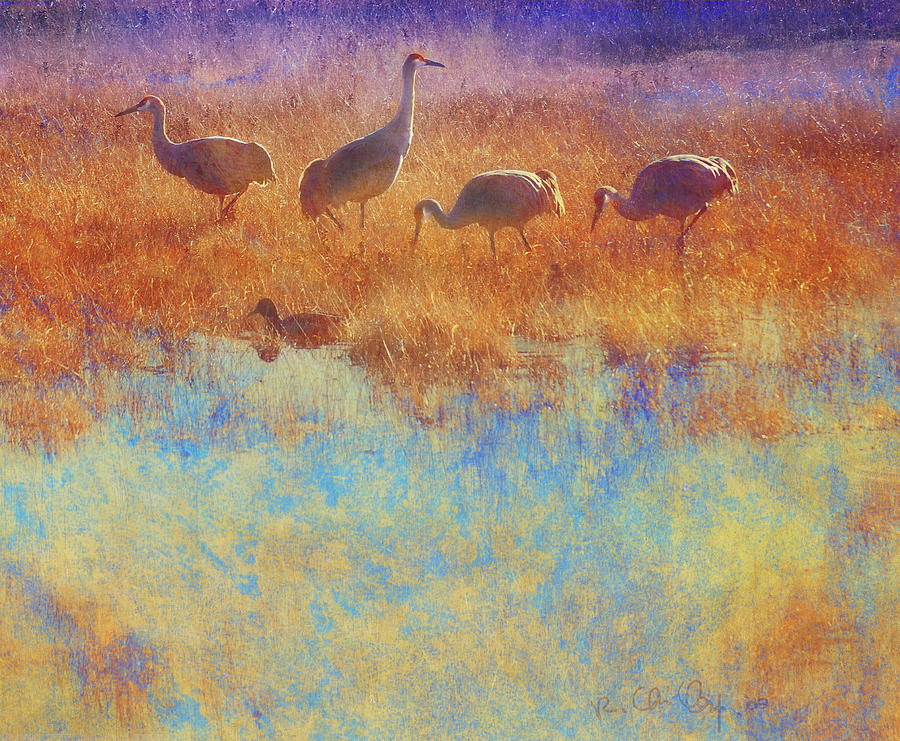 Duck Painting - Cranes In Soft Mist by R christopher Vest