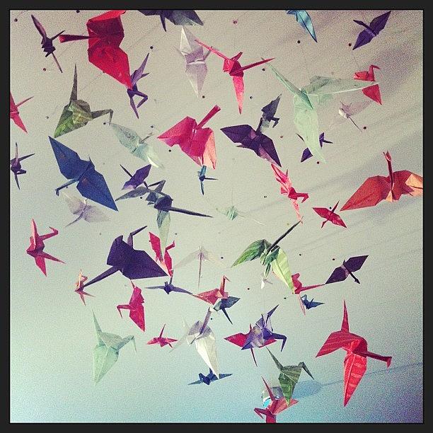 Oragami Photograph - Cranes Installation #art #la #oragami by Lacie Vasquez