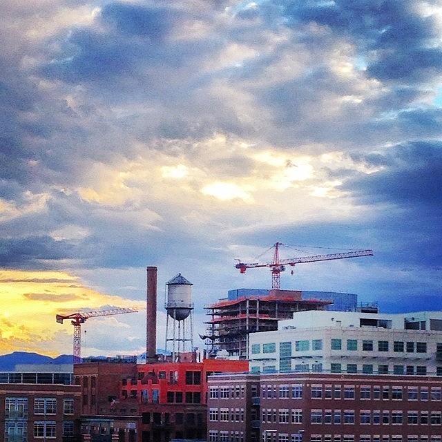 Denver Photograph - Cranes That Should Be Birds by Nate Ragolia
