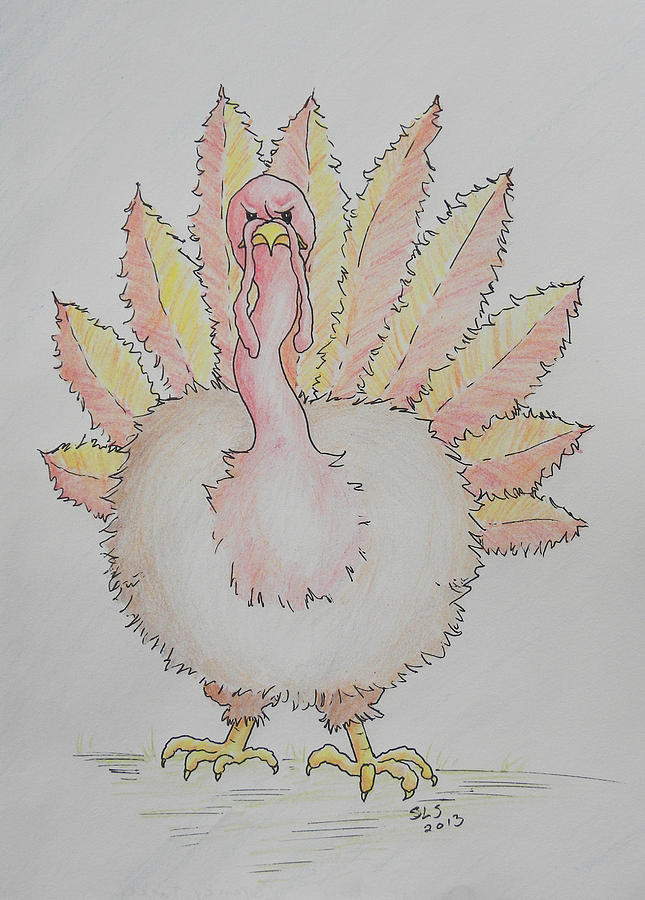 Turkey Drawing - Cranky Turkey by Sheri Lauren