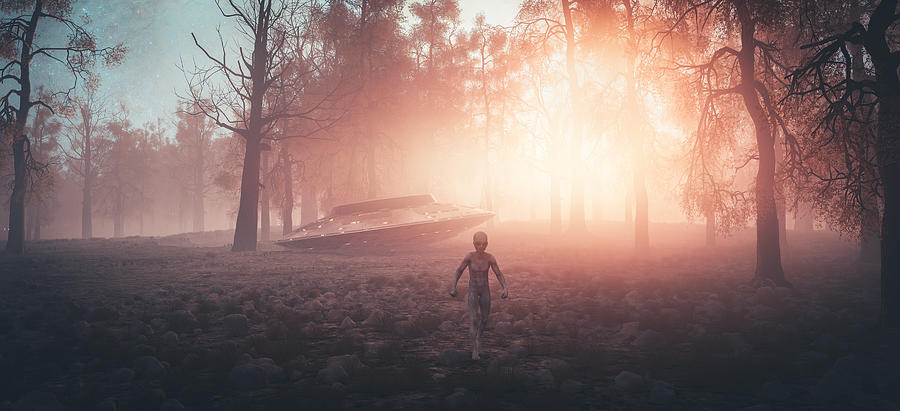 Crash landed UFO with alien walking in the forest Photograph by Matjaz Slanic