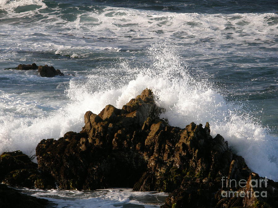 Crashing Wave Photograph by Bev Conover