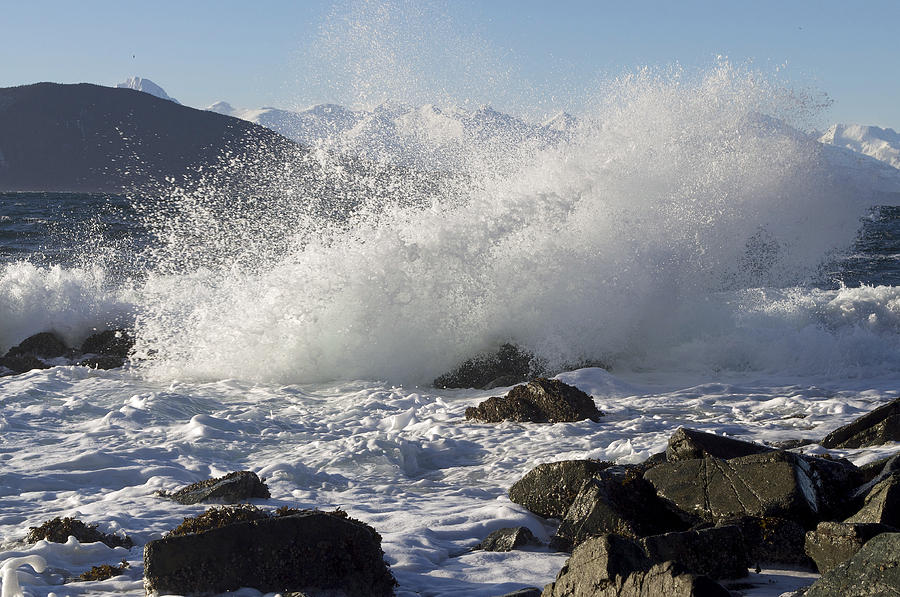 Crashing Wave Photograph by Cathy Mahnke