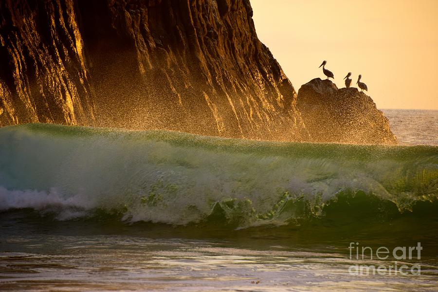 Crashing Wave Photograph by Johanne Peale