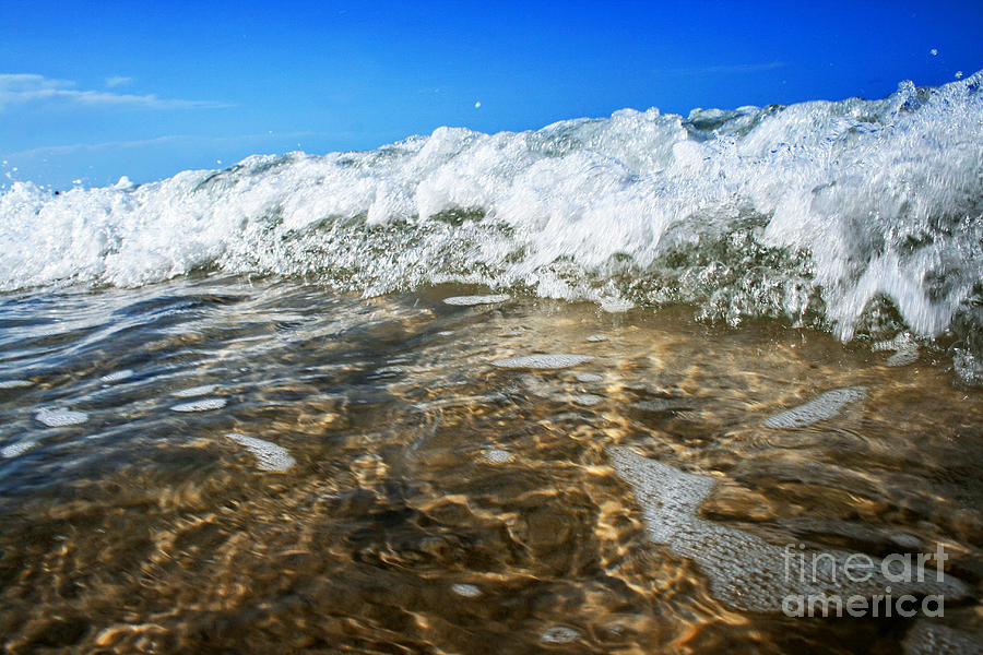 Shell Photograph - Crashing Wave  by Sarah Sutherland