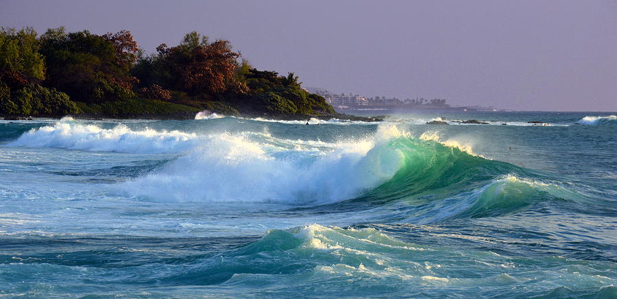 Tree Photograph - Crashing Waves by Lori Seaman