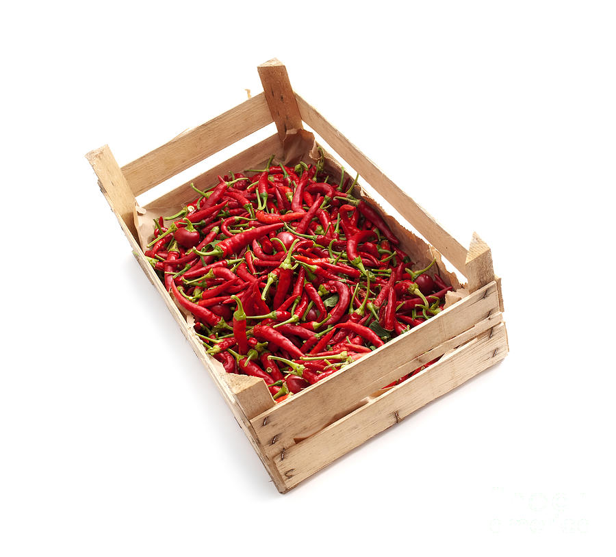 Vegetable Photograph - Crate of chili by Sinisa Botas