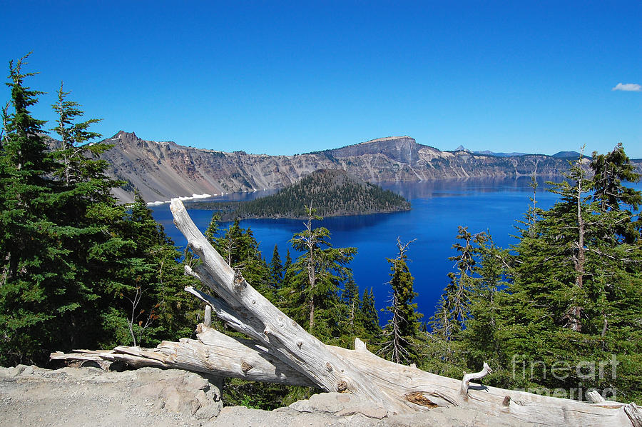 Crater Lake National Park Photograph - Crater Lake And Fallen Tree by Debra Thompson