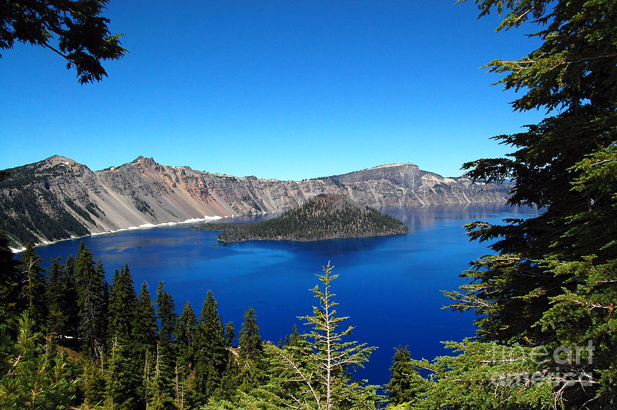 Crater Lake and Pine Trees Photograph by Debra Thompson