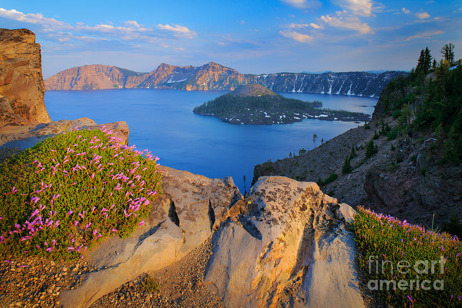 Flower Photograph - Crater Lake Rim by Inge Johnsson