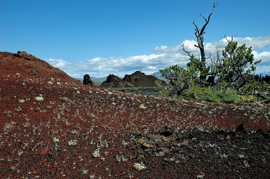 Craters of the Moon National Monument Colorful Landscape Photograph by Bruce Gourley