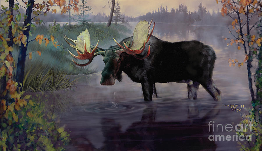 Craven Moose Painting by Robert Corsetti