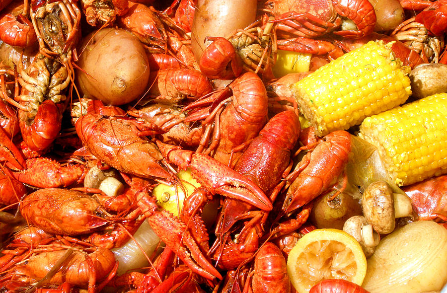 Crawfish Photograph by Ellis C Baldwin - Fine Art America