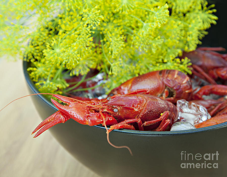 Crayfish and dill Photograph by Sophie McAulay