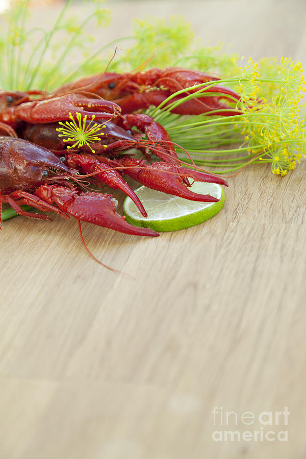 Fish Photograph - Crayfish serving by Sophie McAulay