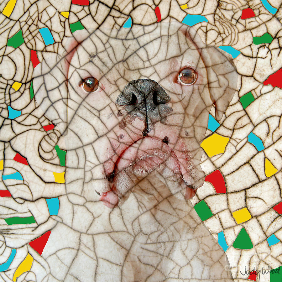 Dog Digital Art - Crazed by Judy Wood