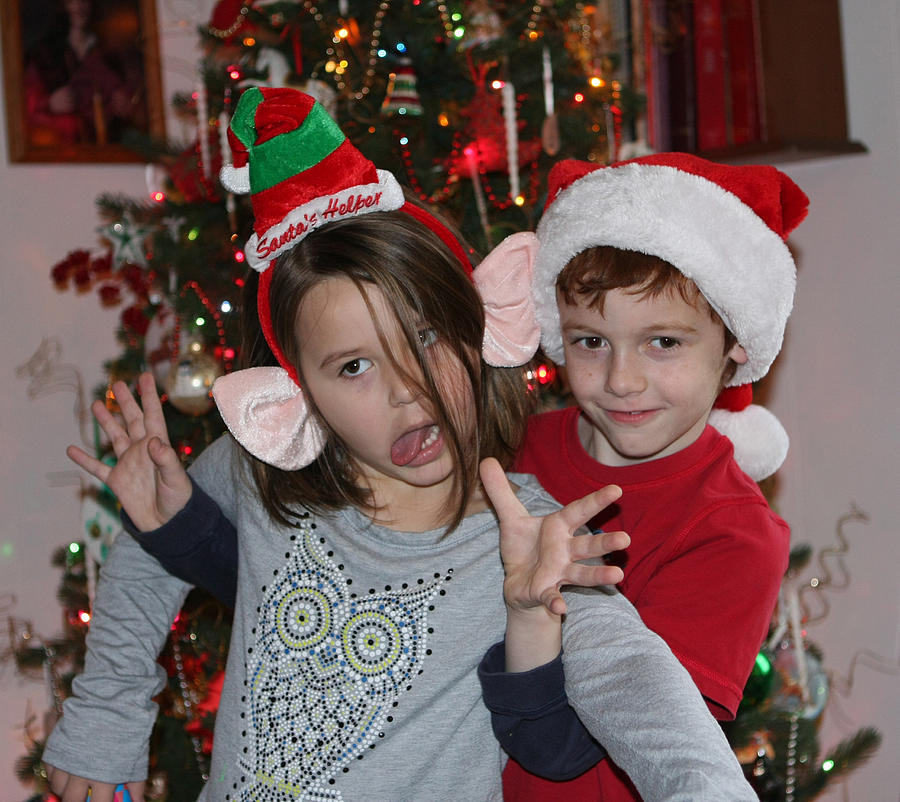 Crazy Christmas Photograph by Denise Romano