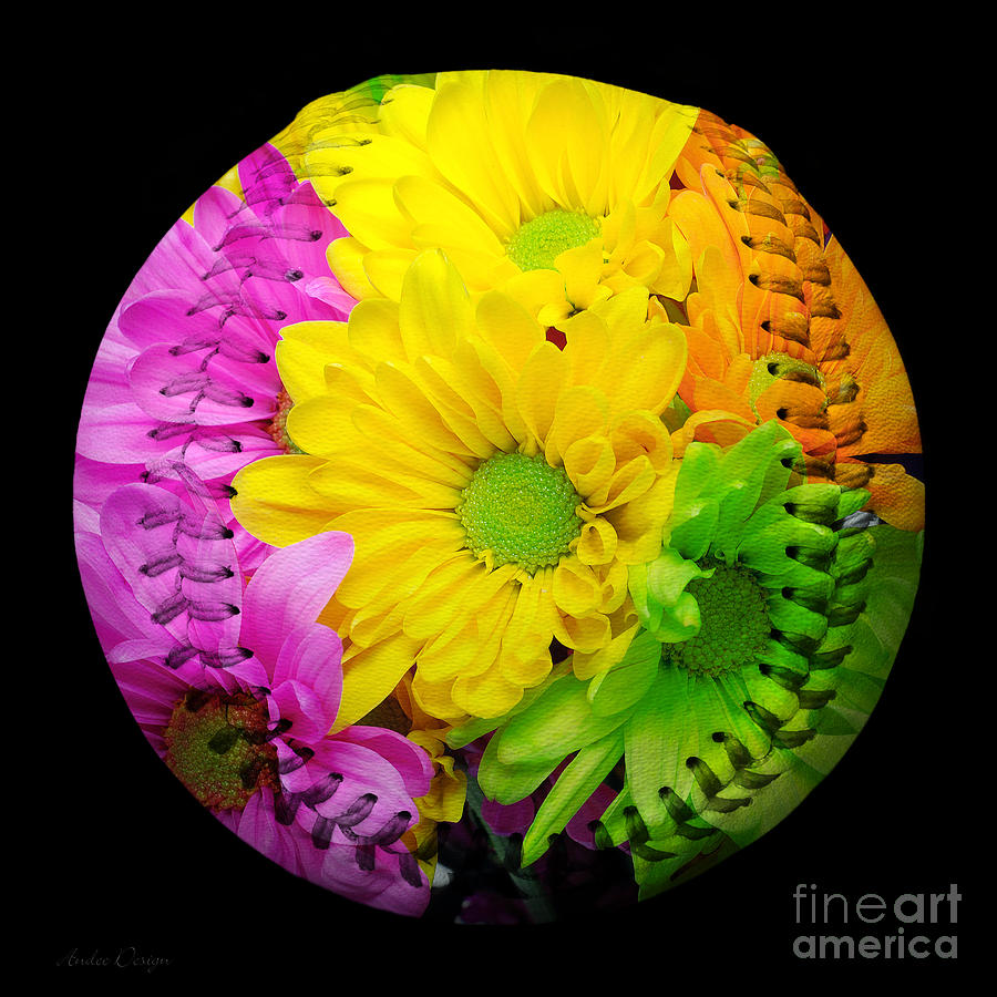 Crazy Daisies Baseball Square Photograph by Andee Design