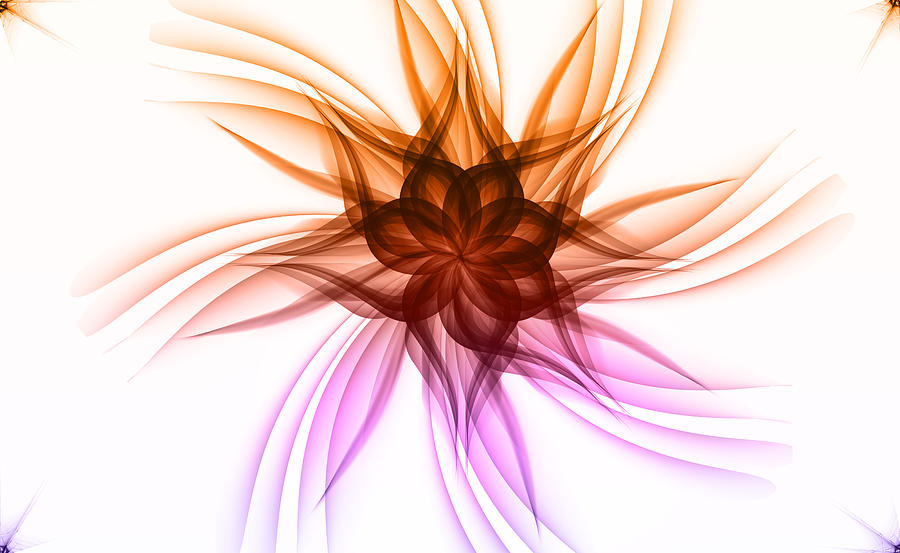Abstract Digital Art - Crazy Flower by Nick Bergstrom