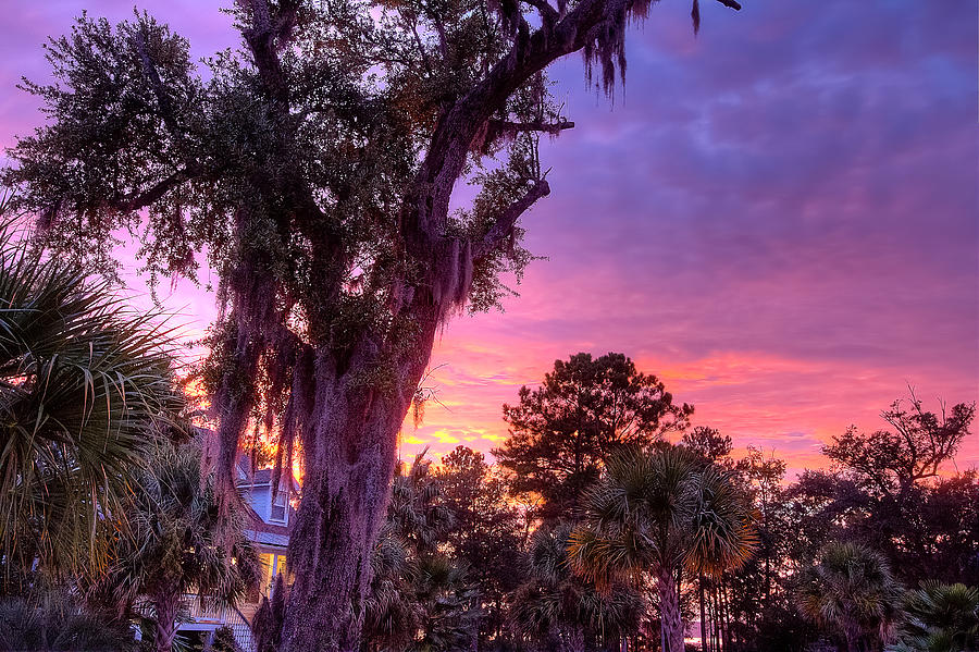 Crazy Southern Sunset Photograph by Walt  Baker