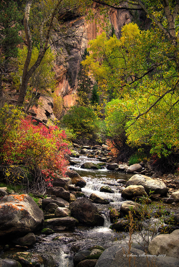 Crazy Woman Creek Fall Photograph by Sam Sherman