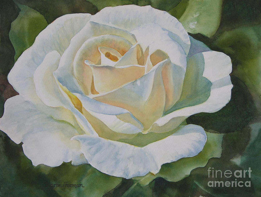 Creamy Rose Painting by Sharon Freeman