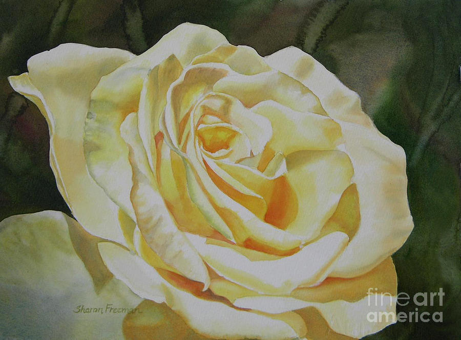 Creamy Yellow Rose Painting by Sharon Freeman