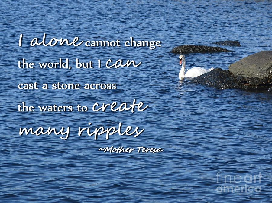 Create Many Ripples Photograph by Tammie Miller