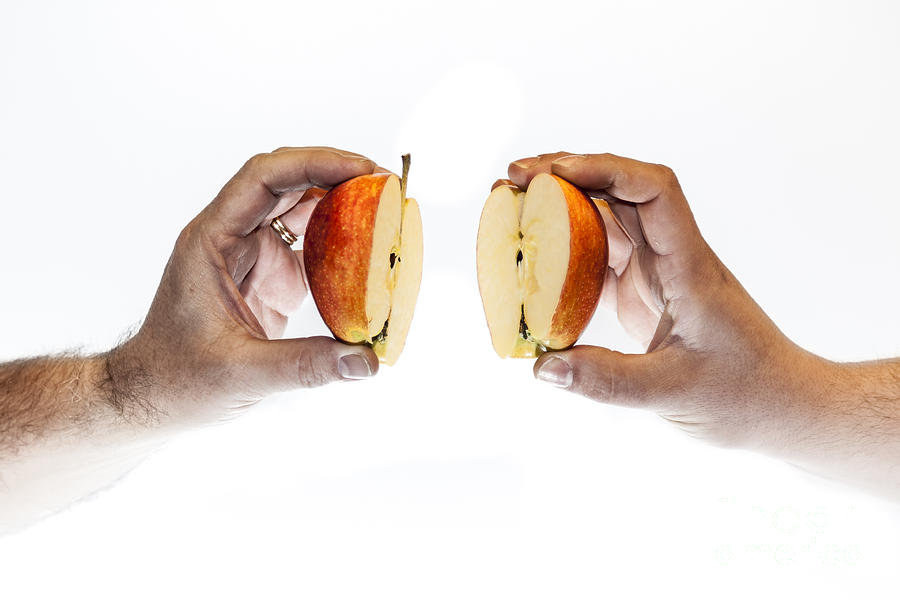 Still Life Photograph - Creating by Eugenio Moya Still Life Photograph - Creating by Eugenio Moya