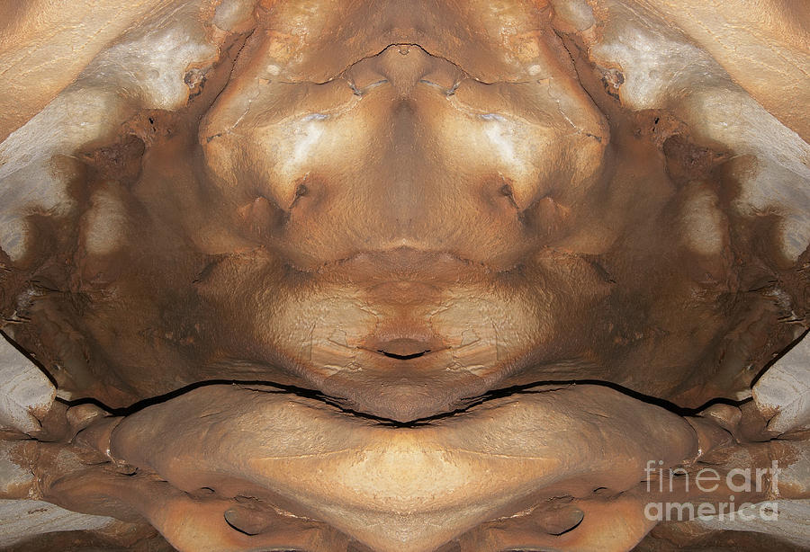 Demon Digital Art - Creature by Michal Boubin Demon Digital Art - Creature by Michal Boubin
