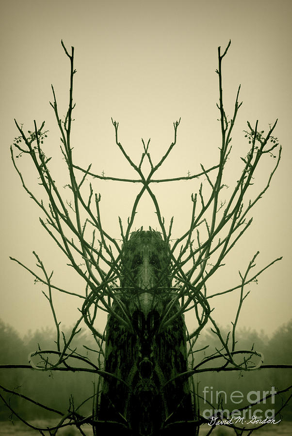 Castle Photograph - Creature of the Wood by David Gordon