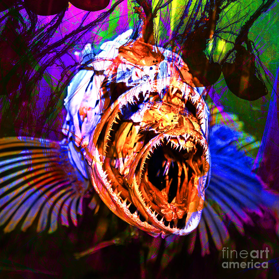 Fish Photograph - Creatures Of The Deep - Fear No Fish 5D24799 square v2 by Wingsdomain Art and Photography