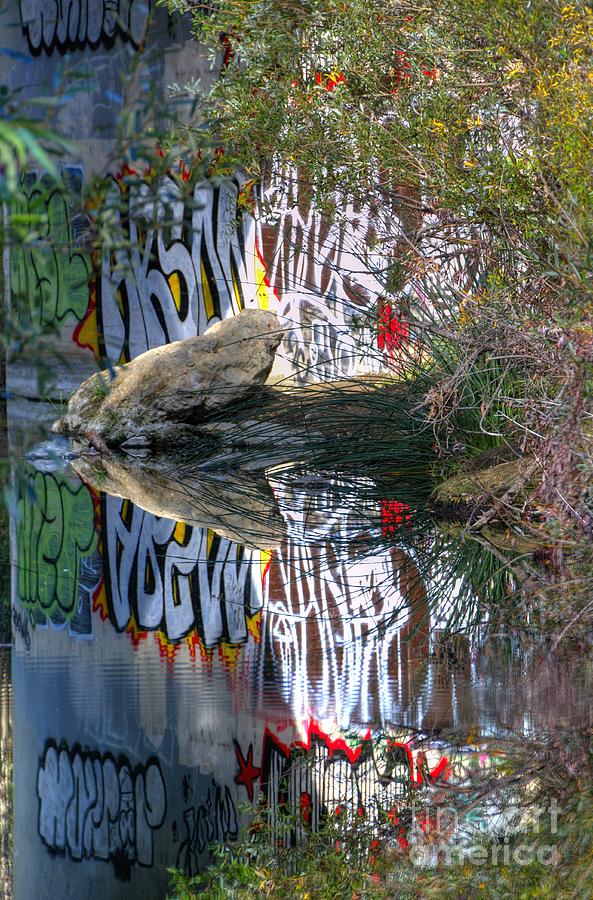 Creek Art Photograph by Marc Bittan