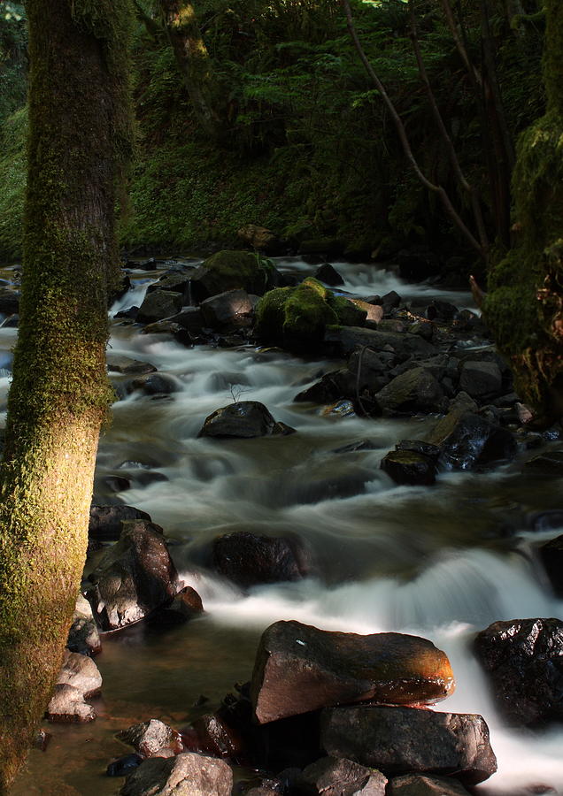 Creek at Bridal Vail Falls Photograph by Teresa Herlinger